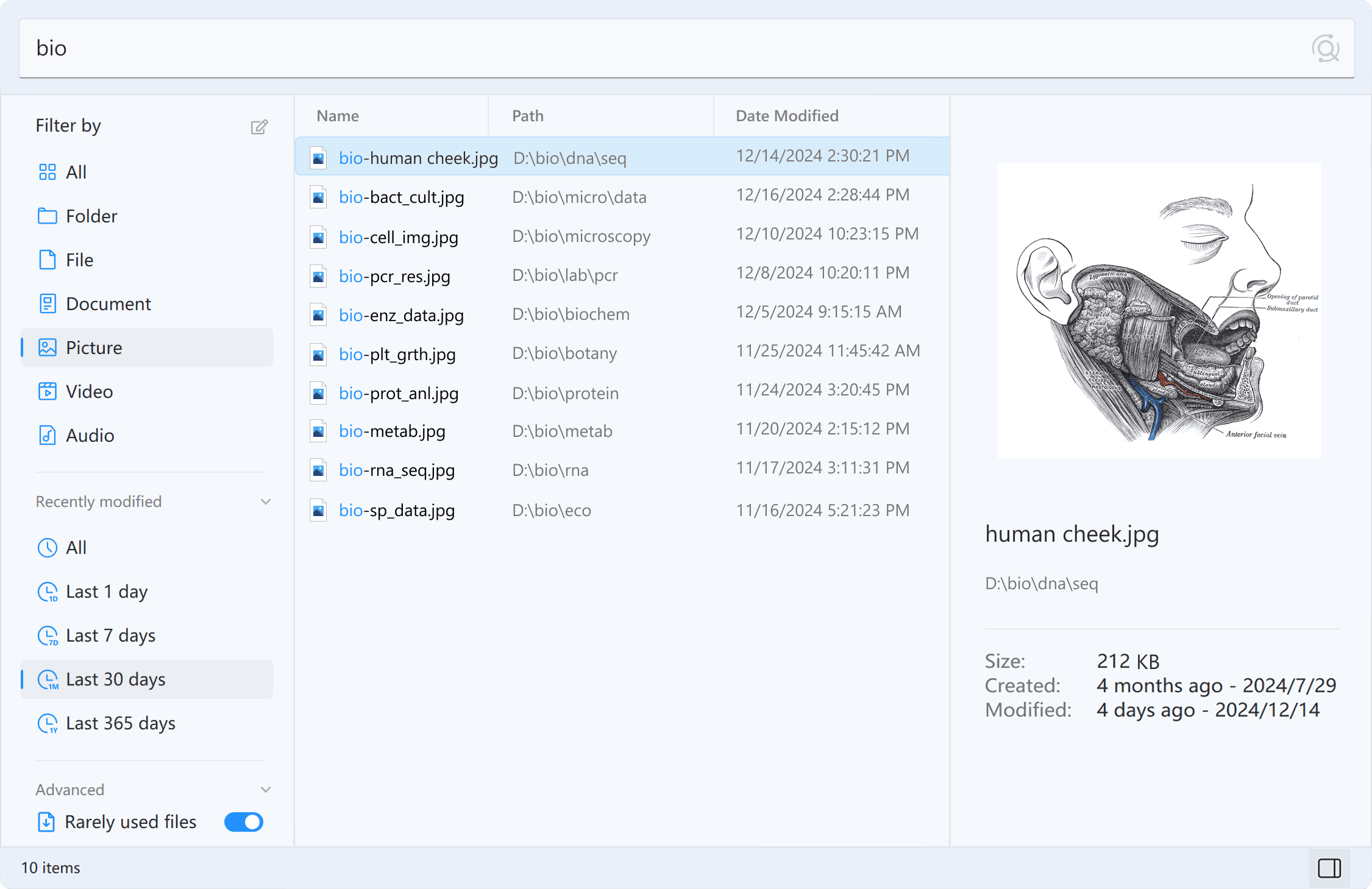 Listary File Search results for “bio” with an anatomy image preview